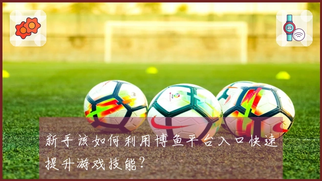 新手该如何利用博鱼平台入口快速提升游戏技能？