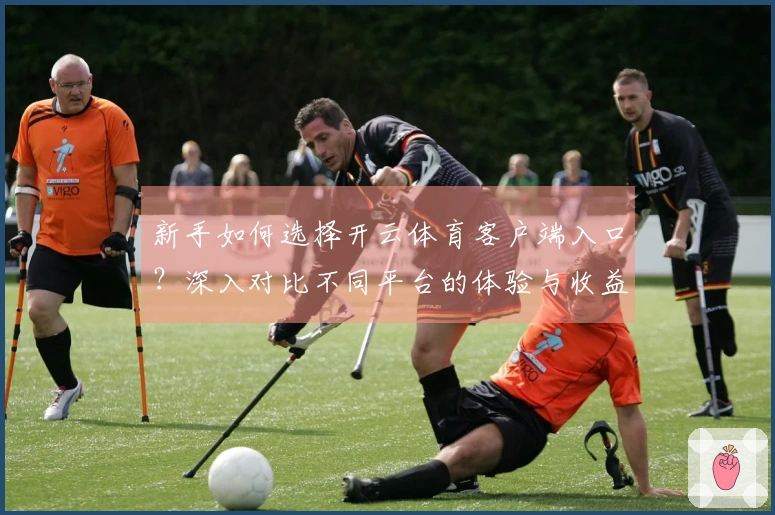 新手如何选择开云体育客户端入口？深入对比不同平台的体验与收益