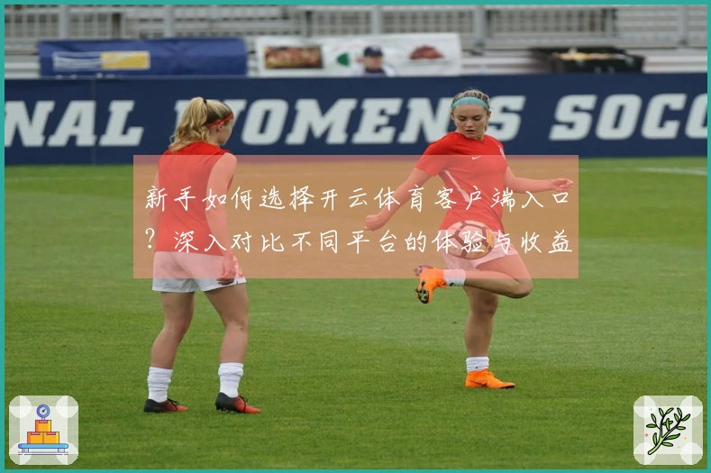 新手如何选择开云体育客户端入口？深入对比不同平台的体验与收益