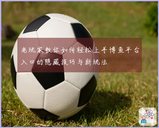 老玩家教你如何轻松上手博鱼平台入口的隐藏技巧与新玩法